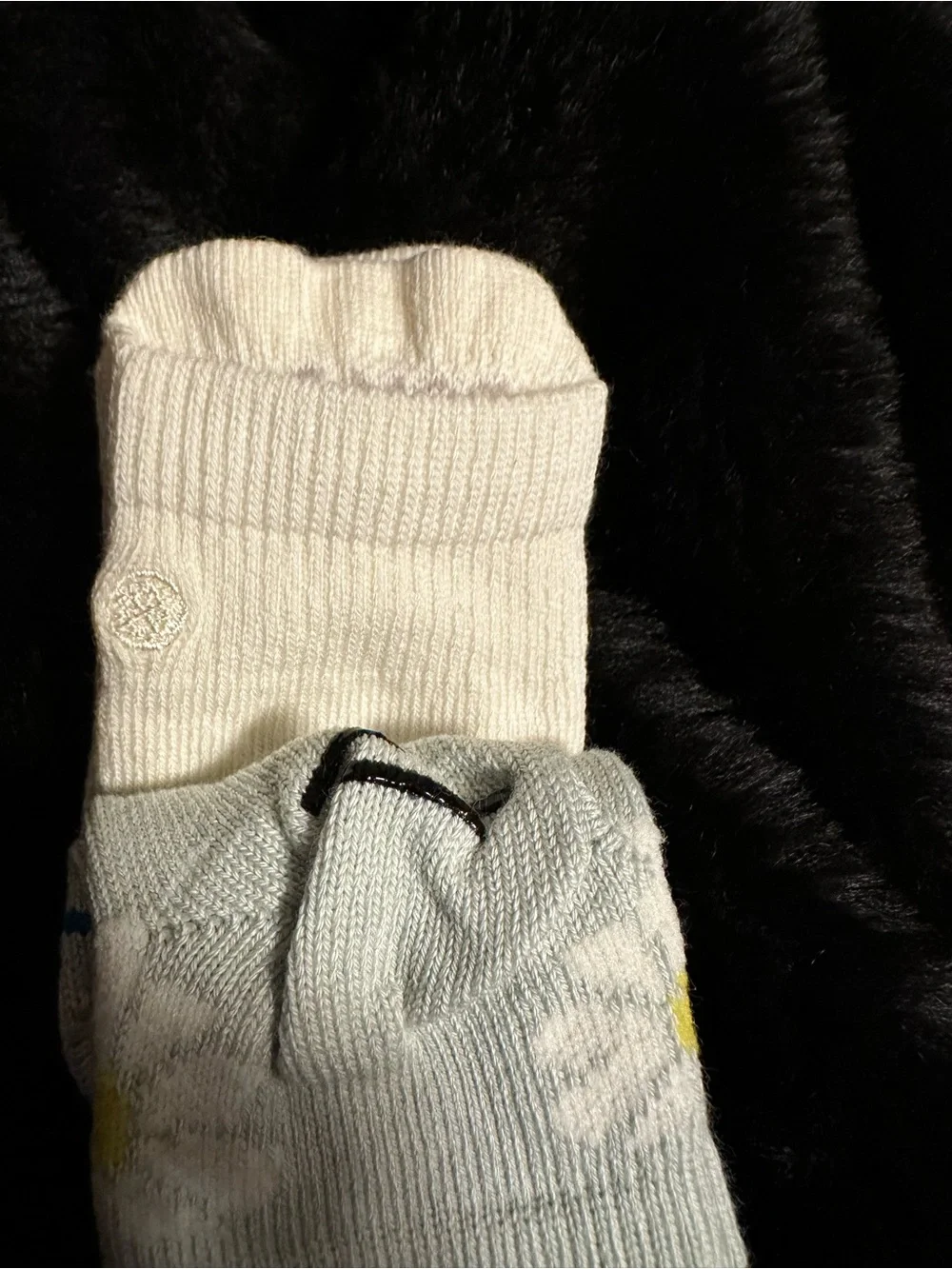 Stance new daisies